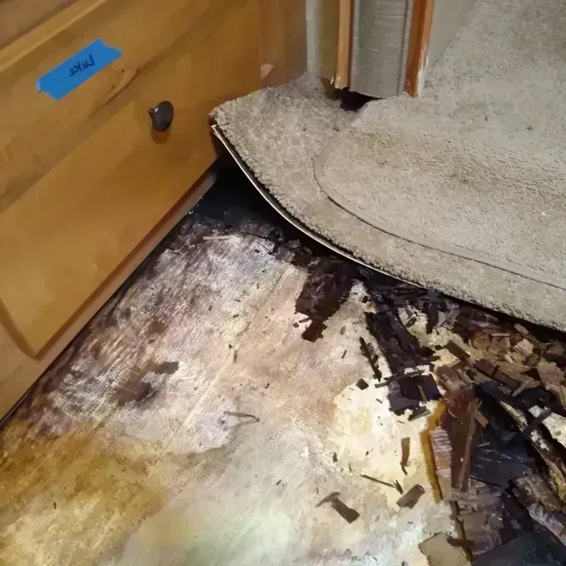 Wood Floor Water Damage in Firestone, CO